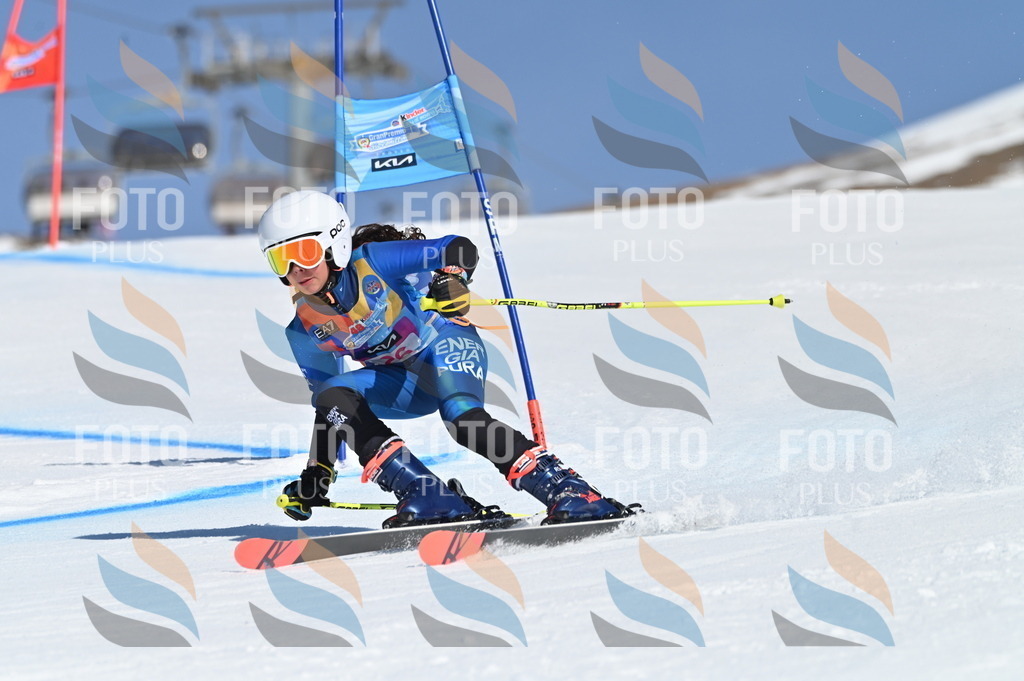 BGV_8078 | holidayphoto