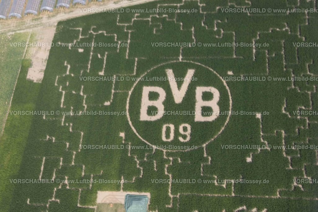 Dortmund220704116 | Luftbild, BVB Logo im Feld, Hof Mertin, Hostedde, Dortmund, Ruhrgebiet, Nordrhein-Westfalen, Deutschland