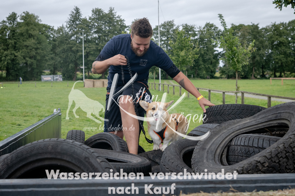 1242_ZZ91990 | kk-dogfotos