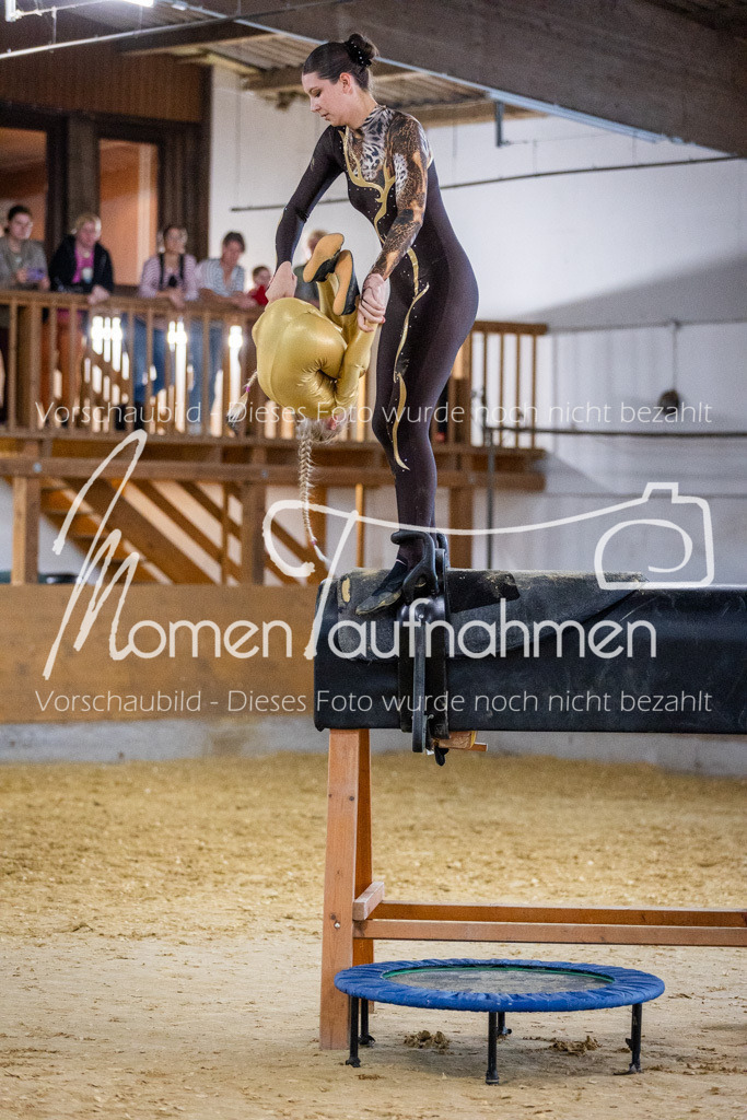 Holzpferd-072 | MomenTaufnahmen Pferdesportfotos