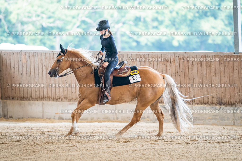 DSC04519 | Pferdegrafie