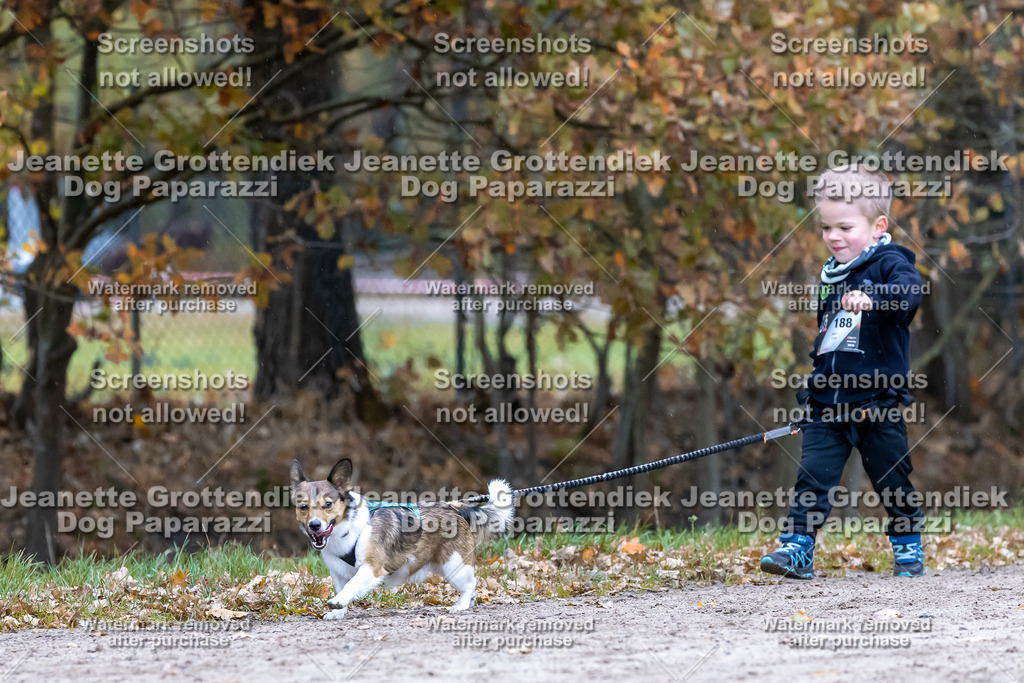 Dog Paparazzi - SD CaniX Championship 2025-675 | Dog Paparazzi Jeanette Grottendiek Fotografie & Videografie - Realisiert mit Pictrs.com