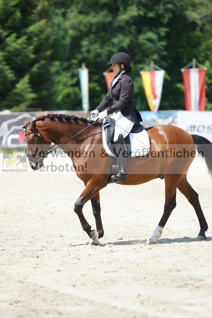 DSC01685 | equestrian-live-com