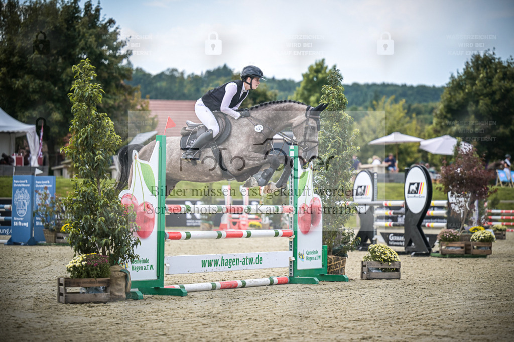 DOS_5253 | Entdecke hochwertige Reitturnierfotos von Foto Oger. Professionell, emotional und authentisch – jetzt Lieblingsmomente im Shop bestellen. - Realisiert mit Pictrs.com