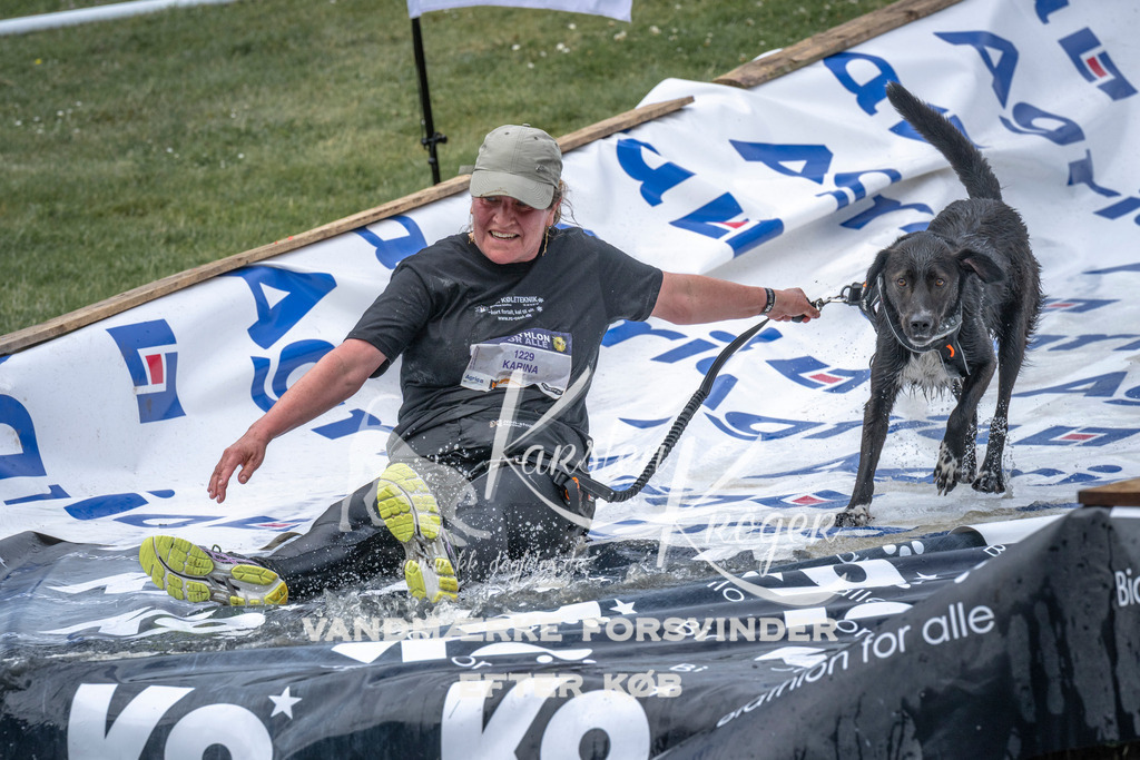 1132_ZZ92872 | kk-dogfotos