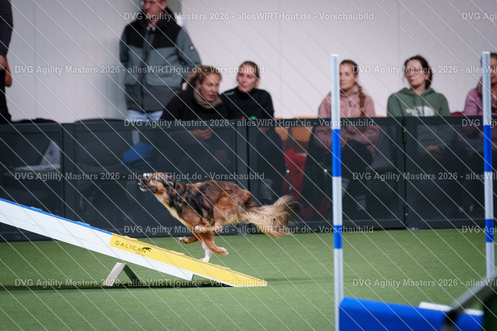 allesWIRTHgut_Tierfotografie-DVG_Agility_Masters_2026-15_03-7R506040 | Professionelle Tierfotografie in Mönchengladbach von Daniel Wirth (allesWIRTHgut). Liebevolle & natürliche Bilder von Hunden & Katzen für unvergessliche Erinnerungen.