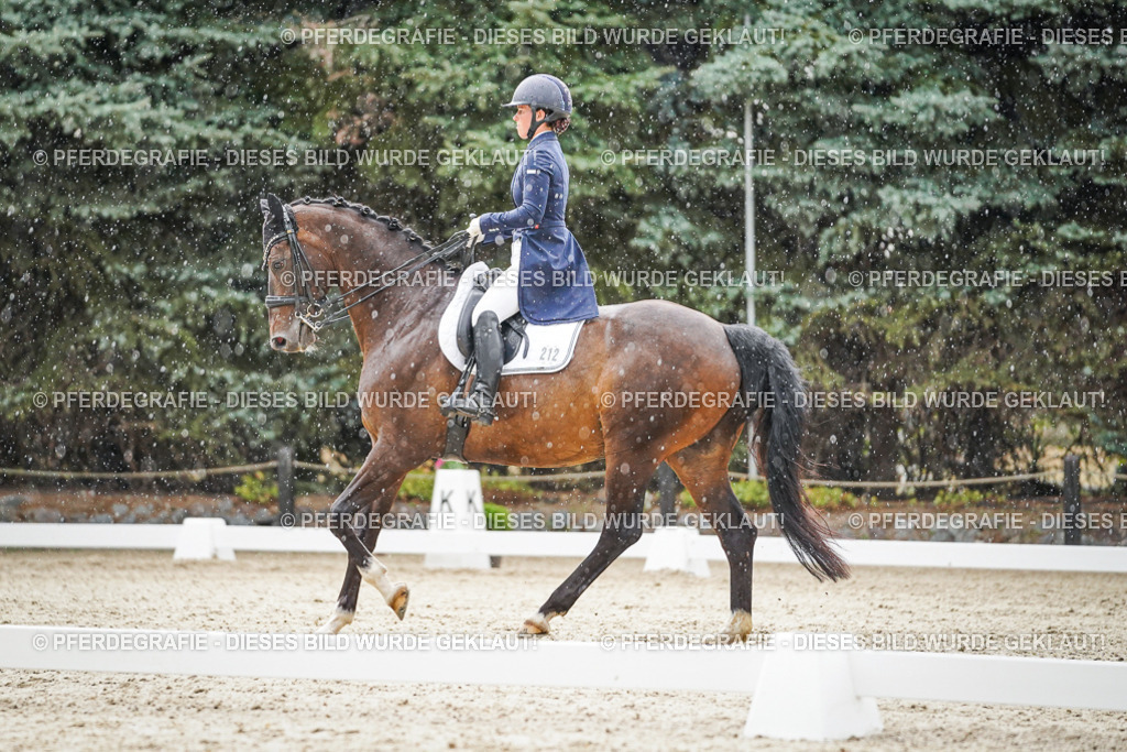 DSC08014 | Pferdegrafie