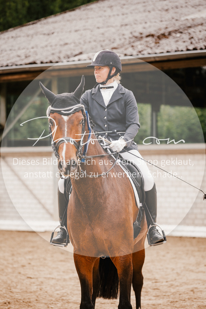 3I6A7856 | Stimmungsvolle Portraits und Reitsportfotografie im Ruhrgebiet und im Münsterland.

Pferdefotografie, Hundefotografie, Tierfotografie, Reportagen, Portraits von Tier und Mensch, Turnierfotografie in Bochum, Recklinghausen, Marl, Haltern am See, Dülmen.. - Realisiert mit Pictrs.com