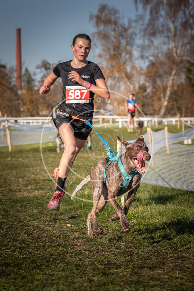 CaniXpix_0L8A8266 | Hundefotografie, Tierfotograf, Pfotenfotografie, Fotoshooting Hund, Hunde Portrait, Hundesport, Hundeportraits, Heideshooting, Hunde, Sportfotograf, Hundefotograf, Turnierhundsport, THS,  - Realisiert mit Pictrs.com