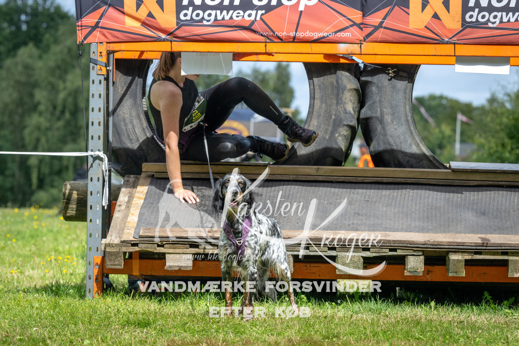 1212_ZZ93631 | kk-dogfotos