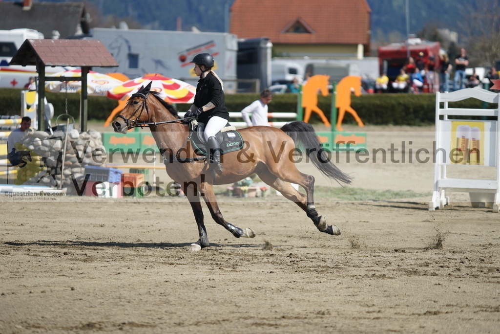 DSC03157 | equestrian-live-com