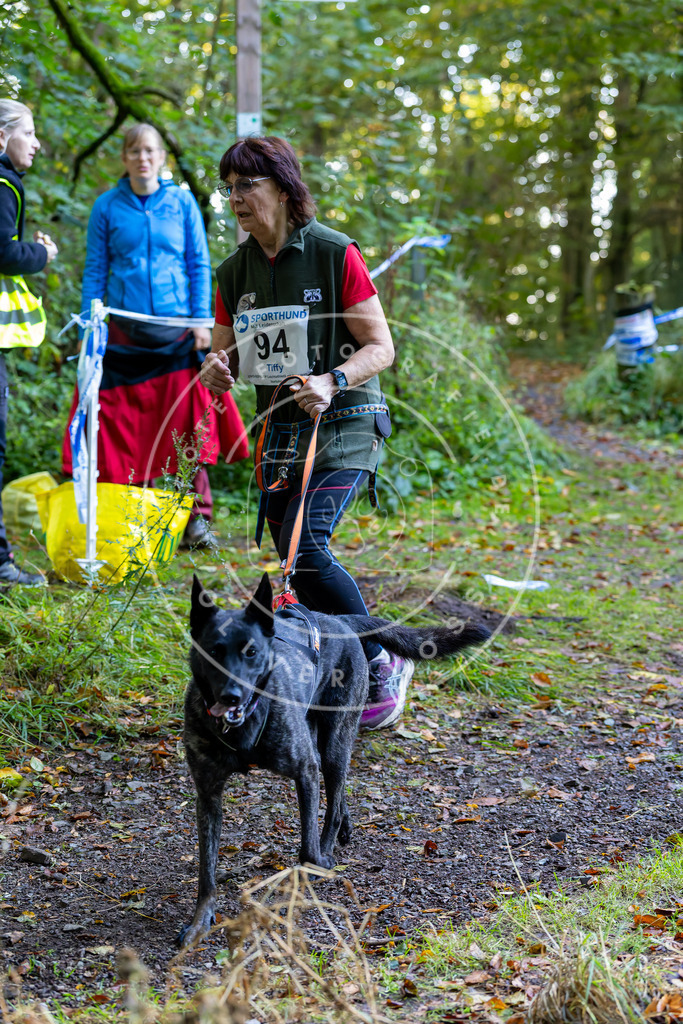 Pfotenfotografie_DV3A7784 | Hundefotografie, Tierfotograf, Pfotenfotografie, Fotoshooting Hund, Hunde Portrait, Hundesport, Hundeportraits, Heideshooting, Hunde, Sportfotograf, Hundefotograf, Turnierhundsport, THS,  - Realisiert mit Pictrs.com