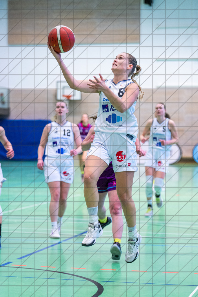 2. DBBL Nord 25/26 | Spieltag 17 | BBC Osnabrück vs. BG74 Veilchen Ladies Göttingen | 01.02.26: 2. DBBL Nord 25/26 | Spieltag 17 | BBC Osnabrück vs. BG74 Veilchen Ladies Göttingen / Osnabrück / Deutschland  //   CREDIT:www.bullenfotos.de, Martin König, Hörner Weg 40, D-49078 Osnabrück, +4917663732967 // Nutzung und Weitergabe nur zu den vereinbarten Zwecken. Presseanfragen an Ersteller. Alle Rechte beim Ersteller. Honorierung nach MFM. - Realisiert mit Pictrs.com