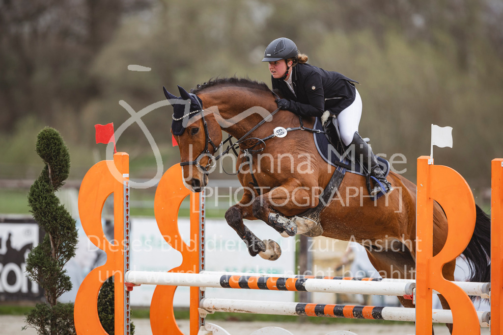 240330_Fruehlingsfest_Stil-A2-1-636 | Deine schönsten Turniermomente als professionelle Fotos! Entdecke hochwertige Pferdesport-Fotografie im Online-Shop. Jetzt Fotos finden & bestellen!