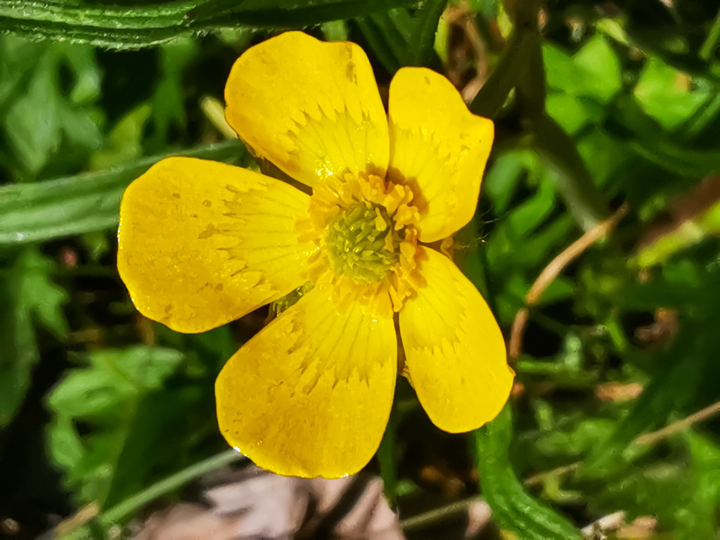 PSX_20230406_233327 | mtkfoto_ - Realisiert mit Pictrs.com