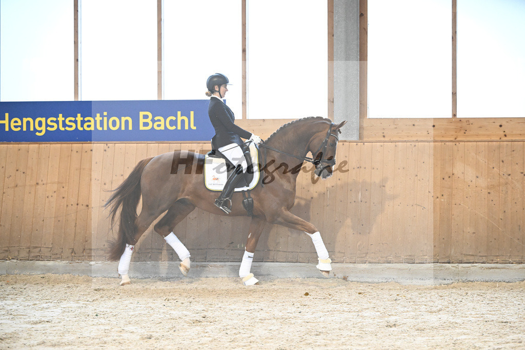 Bowmore_7240656 | hf-fotografie - Realisiert mit Pictrs.com