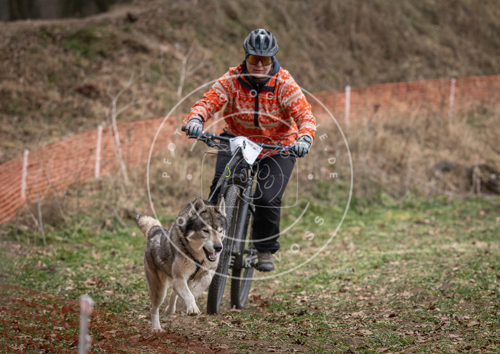 Pfotenfotografie_DV3A6301 | Hundefotografie, Tierfotograf, Pfotenfotografie, Fotoshooting Hund, Hunde Portrait, Hundesport, Hundeportraits, Heideshooting, Hunde, Sportfotograf, Hundefotograf, Turnierhundsport, THS,  - Realisiert mit Pictrs.com