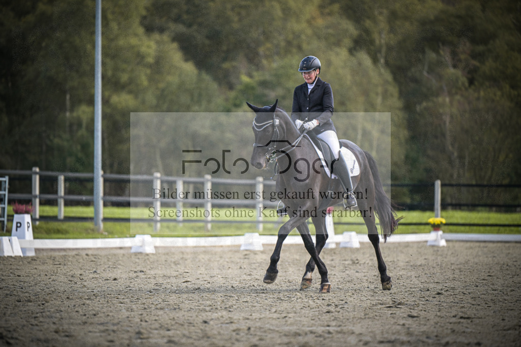 DOS_0732 | Entdecke hochwertige Reitturnierfotos von Foto Oger. Professionell, emotional und authentisch – jetzt Lieblingsmomente im Shop bestellen.Deutschlandweite Turnierfotografie. - Realisiert mit Pictrs.com