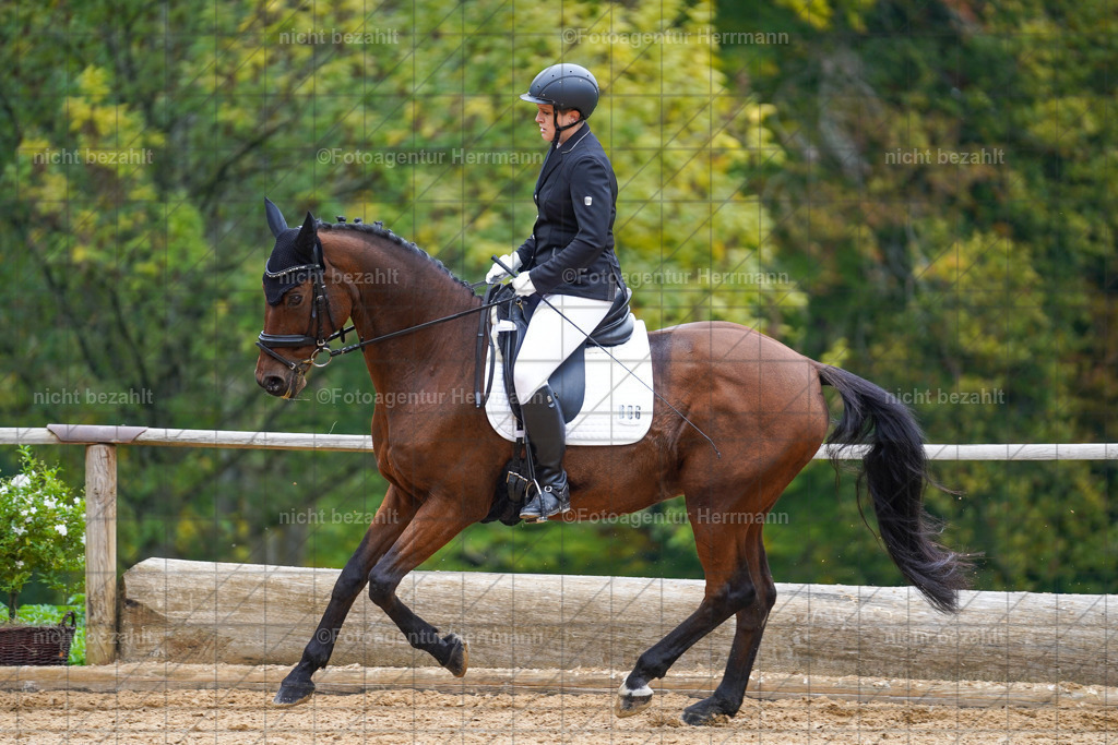 20221008-FAH01551 | Diessen am Ammersee, 2022, Dressur- und Springturnier, Reitsportbilder, Turnierfotografen Bayern, Pferdefotografen, Fotoagentur Herrmann, Turnierbilder