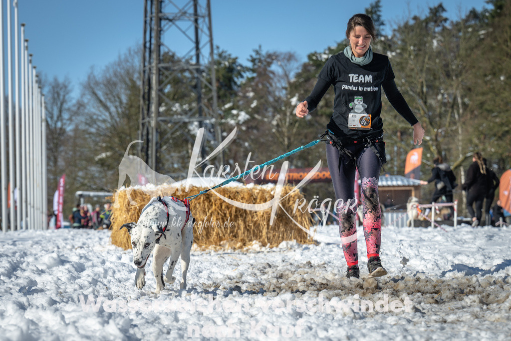 1114_ZZ90777-3 | kk-dogfotos