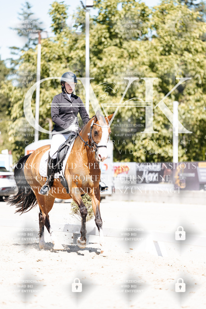 CK900303 | Turnierfotografie Pferdefotografie Trier Rheinland-Pfalz Pferdesport Reitsport Tierfotografie Sportfotografie Pferdevideo Pferdevideografie Equestrianvideography equestrianphotography  - Realisiert mit Pictrs.com