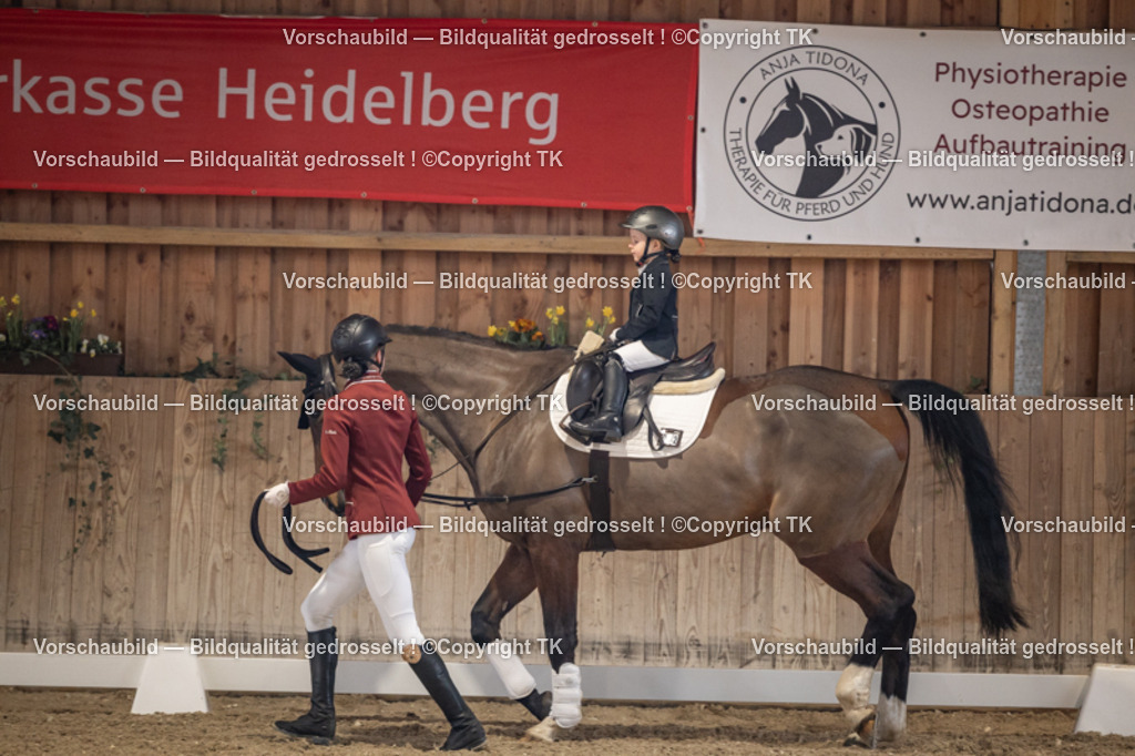 _D5A5274 | Emotionale Pferde- & People-Fotografie rund um Heidelberg, Leimen & Umgebung. Natürliche Fotos von Pferd, Mensch & Familie. Jetzt Termin sichern!