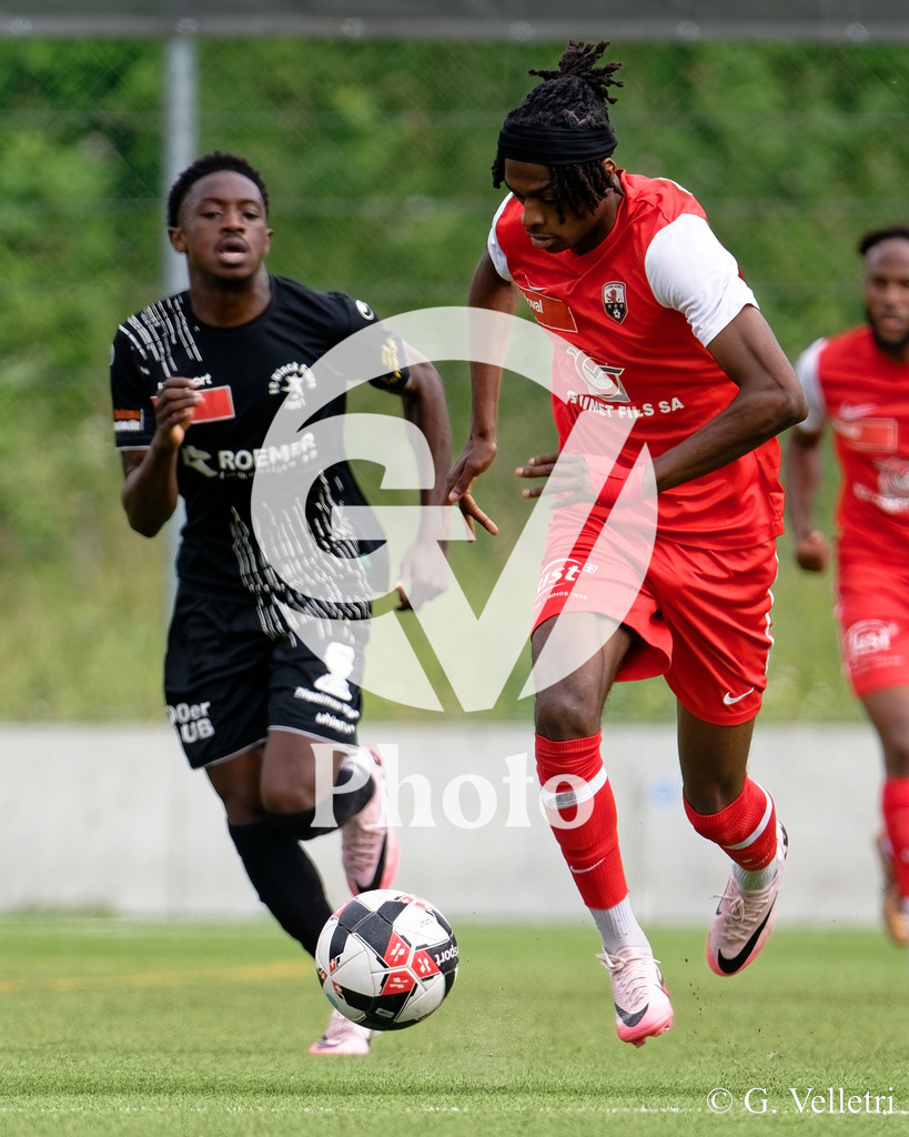 DSC_7479 | Velletri Photo