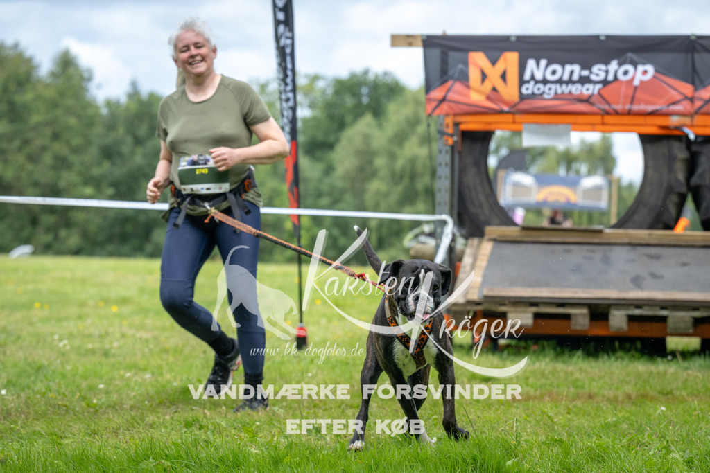 1230_ZZ93841 | kk-dogfotos