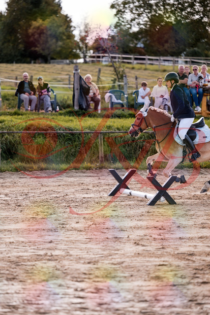 2026_10_03_Siefer-Hof_145457_Z81_35265603 | Professionelle Reitsport-, Turnier- und Eventfotografie von Robert Broda. Galerien mit ausgewählten und bearbeiteten Bildern direkt online ansehen und bestellen.