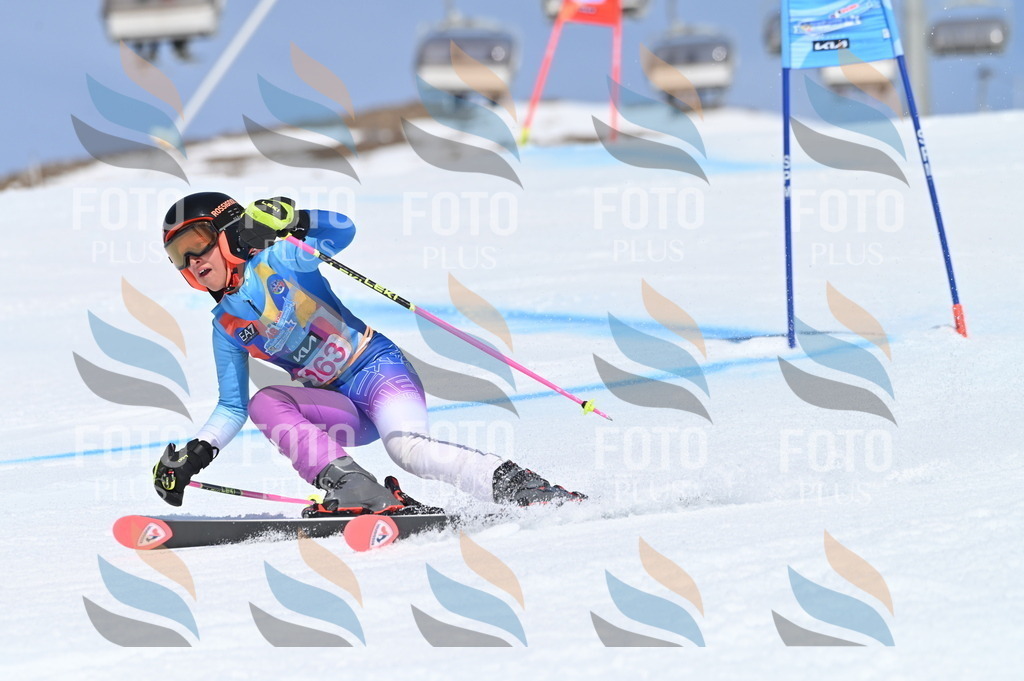 BGV_0321 | holidayphoto