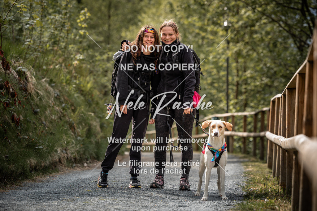 nelerasche_SaAbends_99 | nelerasche