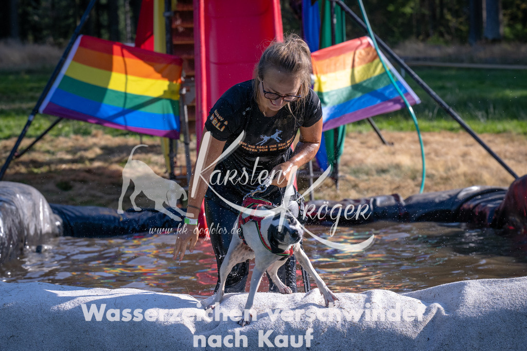 1714_ZZ94067 | kk-dogfotos