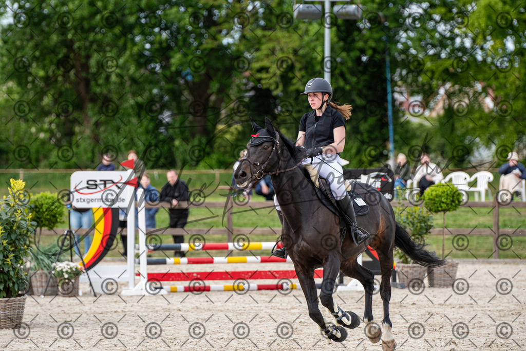 KPT_6860 | andre_photographic