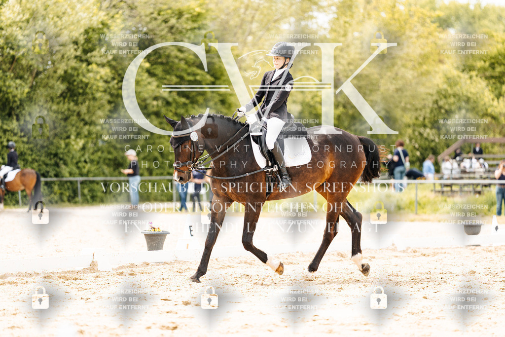 CK902484 | Turnierfotografie Pferdefotografie Trier Rheinland-Pfalz Pferdesport Reitsport Tierfotografie Sportfotografie Pferdevideo Pferdevideografie Equestrianvideography equestrianphotography  - Realisiert mit Pictrs.com