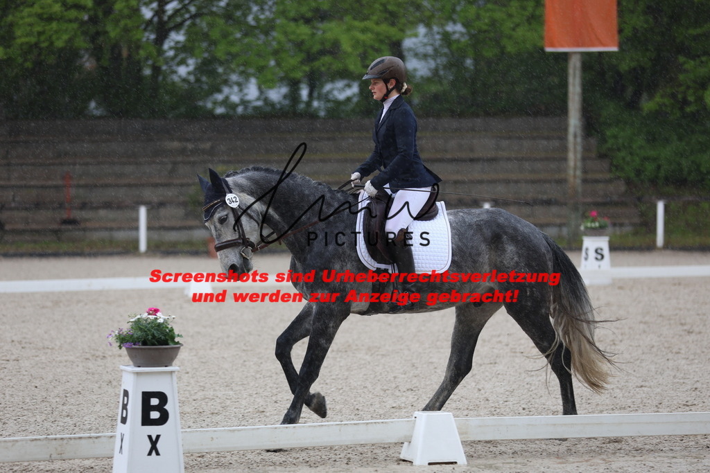 A40A7639 | lmwpictures - Realisiert mit Pictrs.com