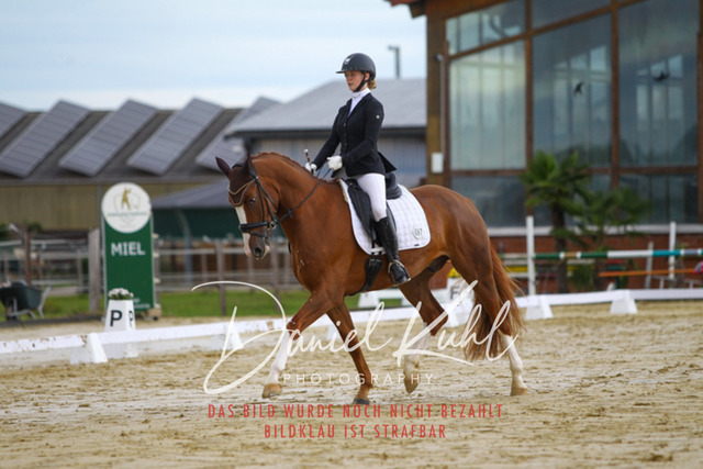 DKP43621 | Turniersportfotografie; Pferdefotografie; Dressurfotografie