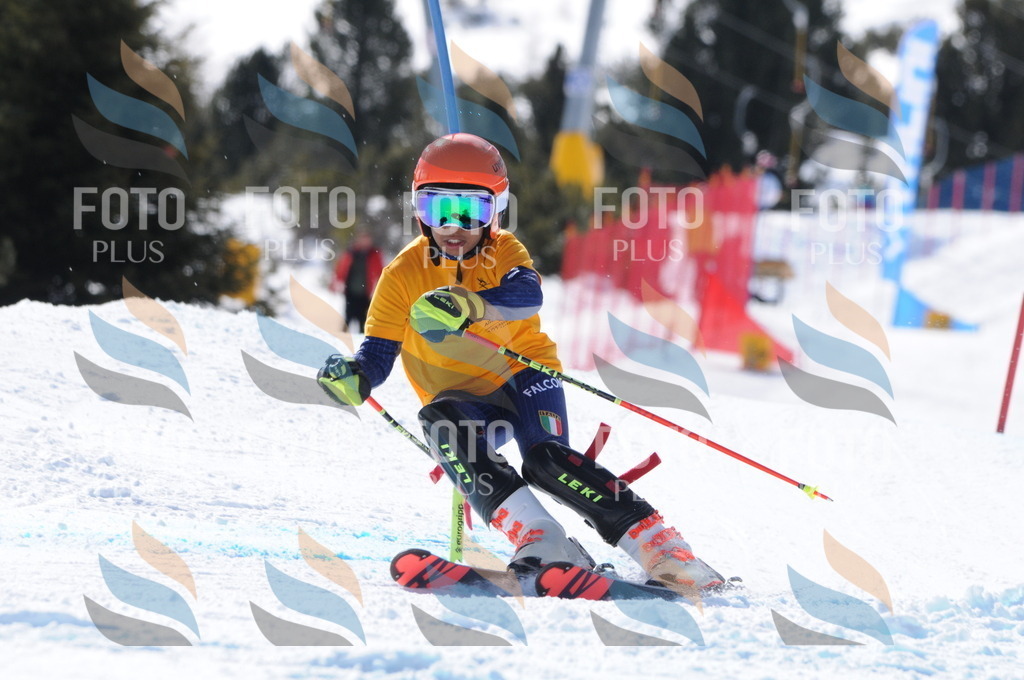 C8976 | holidayphoto