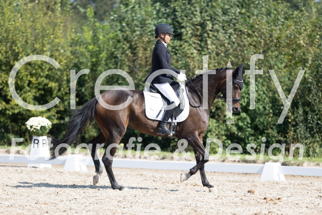 IMG_4529 | Creatify Fotografie