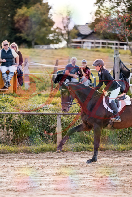 2026_10_03_Siefer-Hof_144101_Z81_12623339 | Professionelle Reitsport-, Turnier- und Eventfotografie von Robert Broda. Galerien mit ausgewählten und bearbeiteten Bildern direkt online ansehen und bestellen.