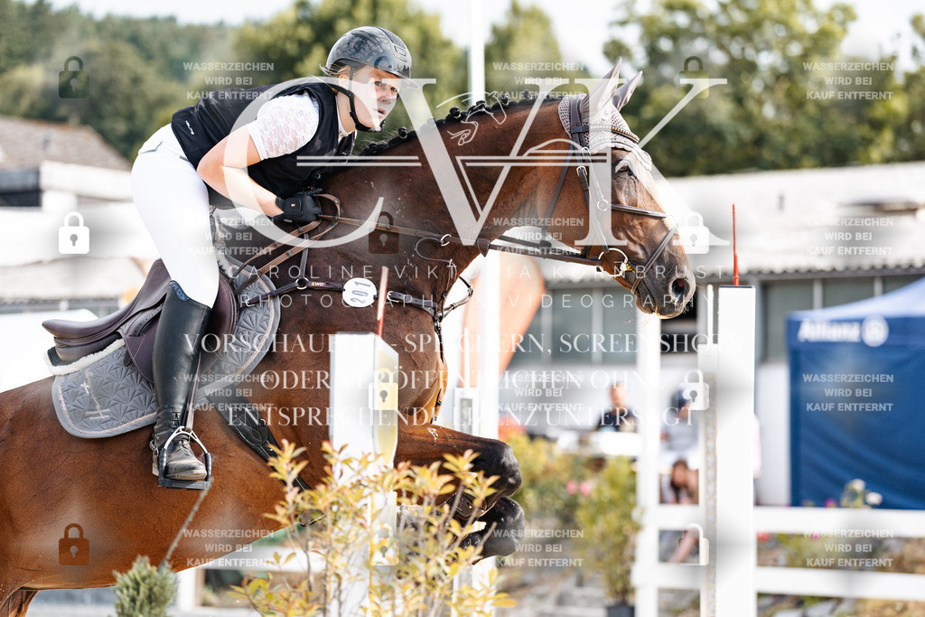 CK903043 | Turnierfotografie Pferdefotografie Trier Rheinland-Pfalz Pferdesport Reitsport Tierfotografie Sportfotografie Pferdevideo Pferdevideografie Equestrianvideography equestrianphotography  - Realisiert mit Pictrs.com