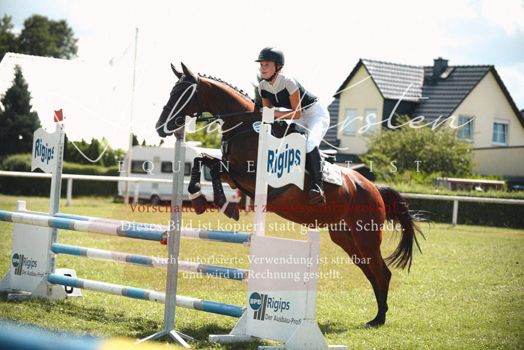 DSC_6497 | Pferde- und Turnierfotografie in Westsachsen. Pferdeportraits, Auftragszeichnungen und intuitive Kunst.