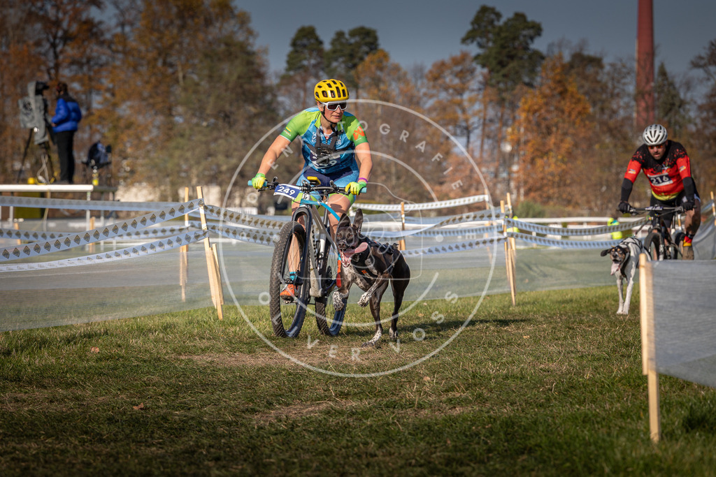 CaniXpix_0L8A6895 | Hundefotografie, Tierfotograf, Pfotenfotografie, Fotoshooting Hund, Hunde Portrait, Hundesport, Hundeportraits, Heideshooting, Hunde, Sportfotograf, Hundefotograf, Turnierhundsport, THS,  - Realisiert mit Pictrs.com