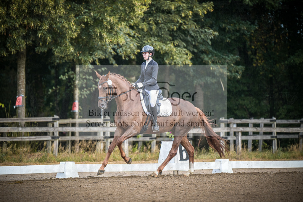 DOS_0270 | Entdecke hochwertige Reitturnierfotos von Foto Oger. Professionell, emotional und authentisch – jetzt Lieblingsmomente im Shop bestellen.Deutschlandweite Turnierfotografie. - Realisiert mit Pictrs.com