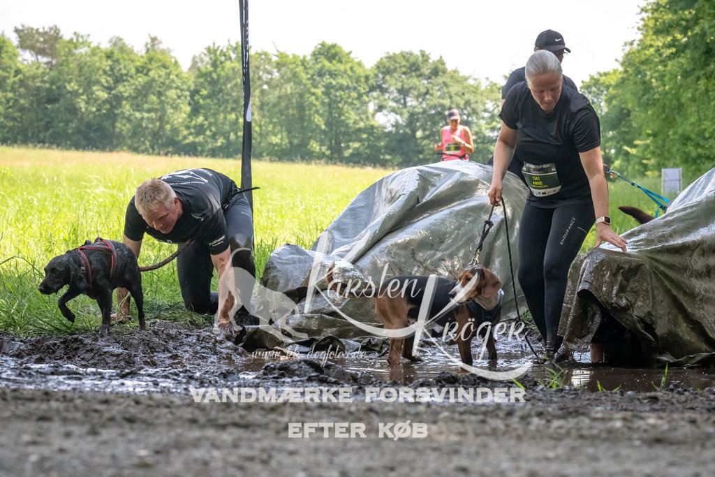 1159_ZZ90836-Bearbeitet | kk-dogfotos