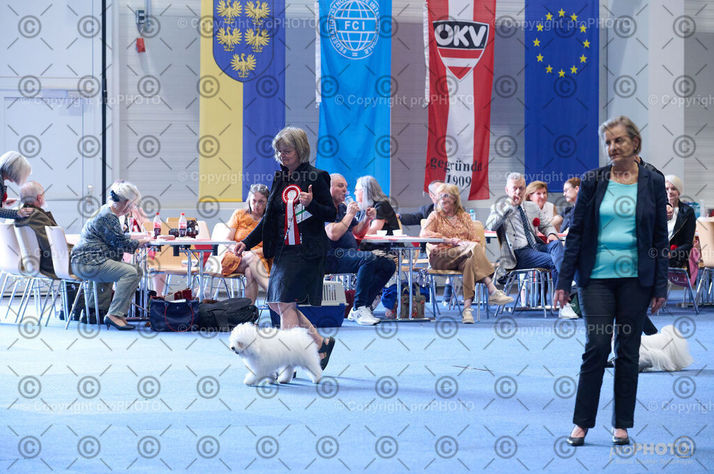 202406_ÖKV-IHA-Tulln24_DSC_5144 | proPHOTO - Realisiert mit Pictrs.com