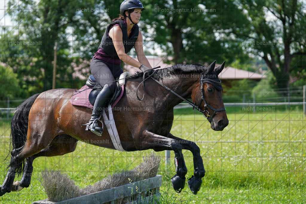 20240622-FAH07824 | Turnierfotografen Bayern, Reitsportbilder aus dem Geländekurs mit Felix Etzel auf dem Gut Waitzacker 2024