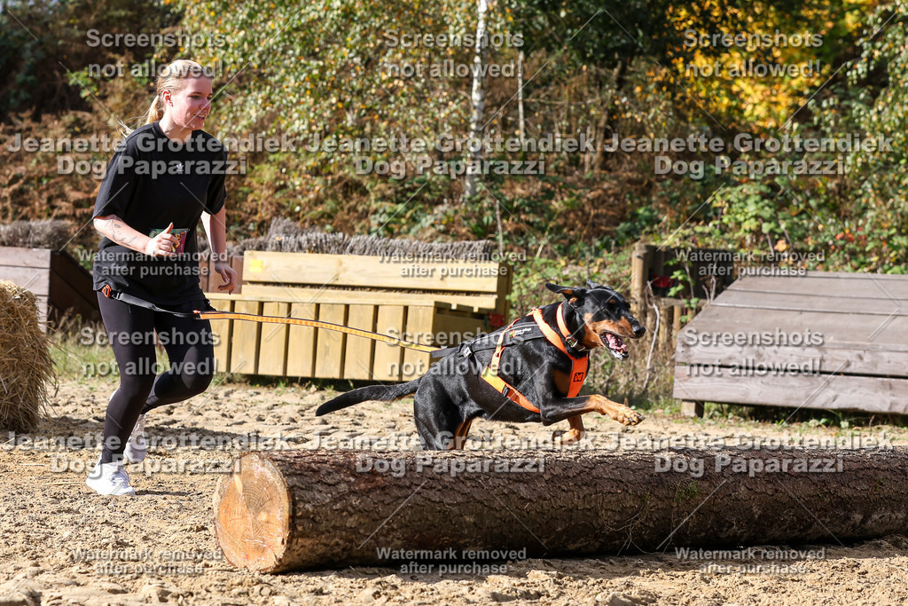 Dog Paparazzi - Strongdog 10-25-5038 | Dog Paparazzi Jeanette Grottendiek Fotografie & Videografie - Realisiert mit Pictrs.com