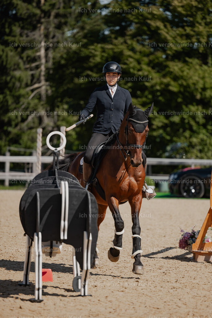 Nadine22_FHC2025-61 | working equitationturnier fotograf videograf stoibphotography marixx film working equitation deutschland reitsport turnierfotografie eventfotografie equestrian events