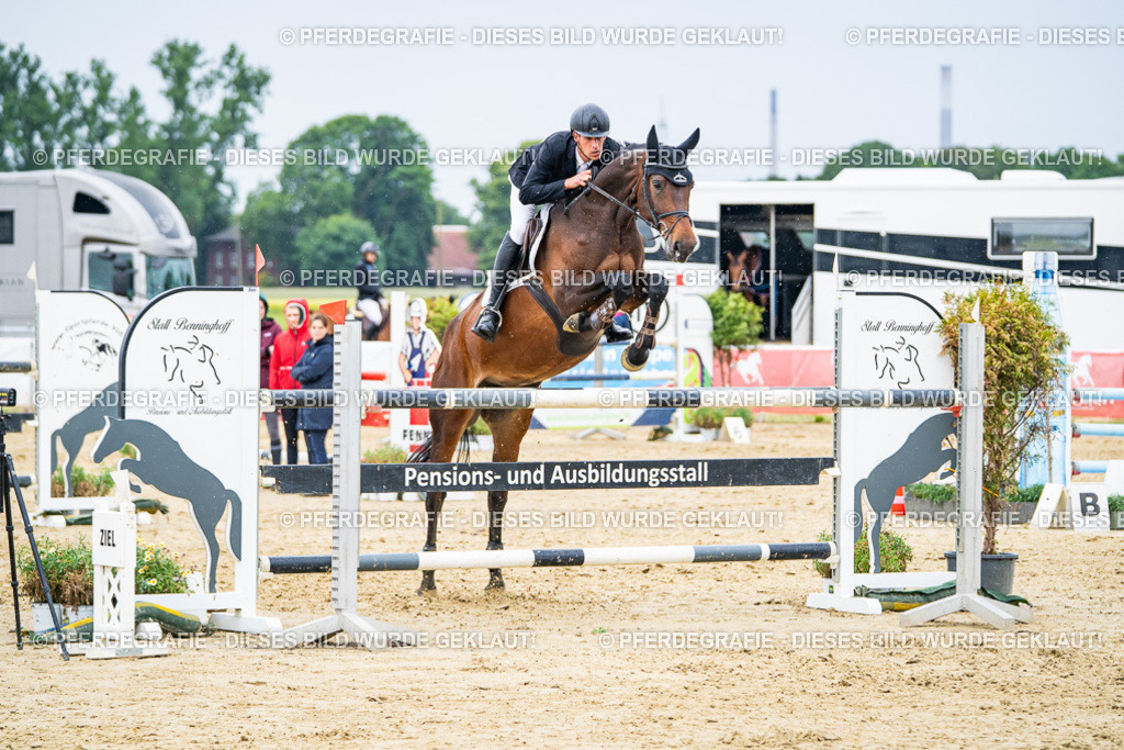 DSC07269 | Pferdegrafie