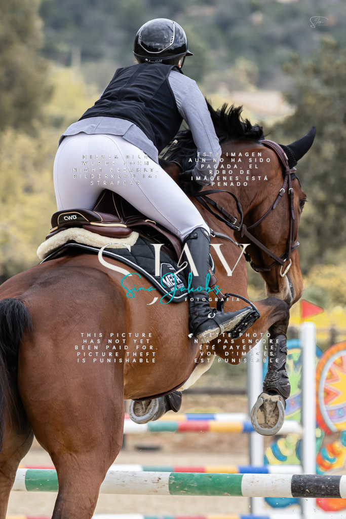 IMG_5012 | s-jay-photography - Realisiert mit Pictrs.com